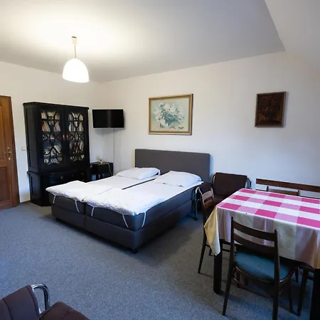 U Davidku Appartement *