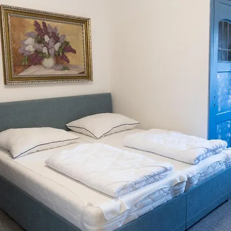 U Davidku Appartement *