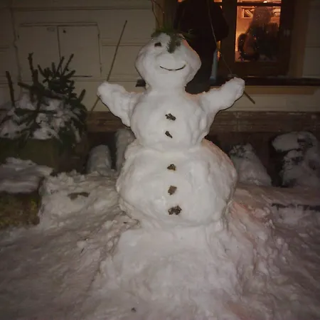 U Davidku * Černý Dŭl