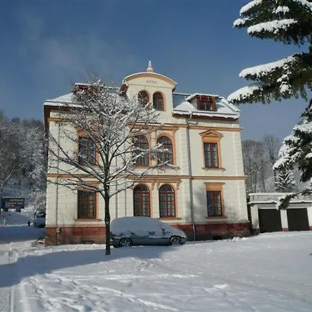 U Davidku Appartement *